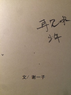 《再见了少年》 作者:谢一子 txt文件大小:78.08 KB