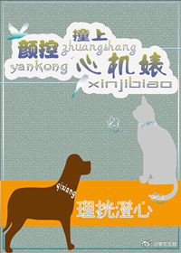 《颜控撞上心机婊》 作者：理挄澄心 txt文件大小：506.88 KB