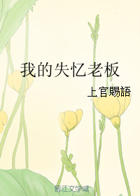 《我的失忆老板》 作者：上官赐语 txt文件大小：104.51 KB