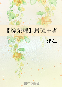 《(综漫同人)【综荣耀】最强王者》 作者:楽江 txt文件大小:1.07 MB