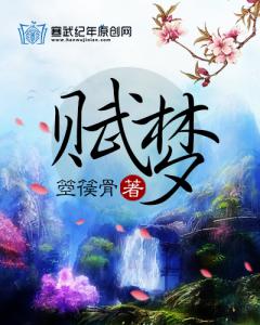 《赋梦》 作者：箜篌骨 txt文件大小：518.95 KB