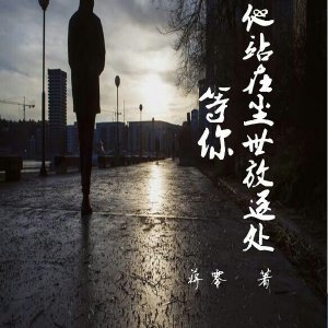 《他站在尘世放逐处等你》 作者：蒋零 txt文件大小：188.47 KB
