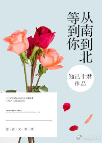 《从南到北，等到你》 作者：知己十君 txt文件大小：239.06 KB