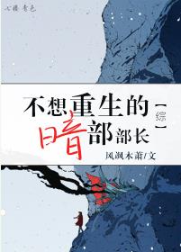 《（综漫同人）不想重生的暗部部长[综]》 作者：风飒木萧 txt文件大小：660.8 KB