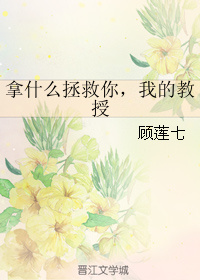《（HP同人）拿什么拯救你，我的教授》 作者：顾莲七 txt文件大小：161.07 KB