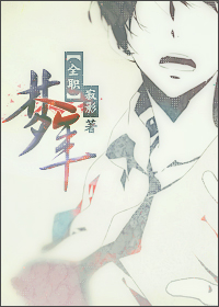 《（全职同人）[全职]梦年》 作者：寂影 txt文件大小：312.35 KB