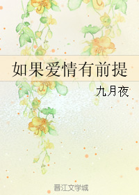 《如果爱情有前提》 作者：九月夜 txt文件大小：293.81 KB