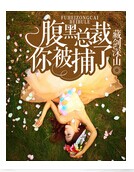 《腹黑总裁，你被捕了》 作者：藏剑深山 txt文件大小：2.84 MB