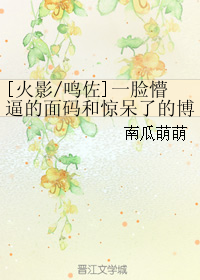 《（火影同人）[火影-鸣佐]一脸懵逼的面码和惊呆了的博人》 作者：南瓜萌萌 txt文件大小：45.17 KB