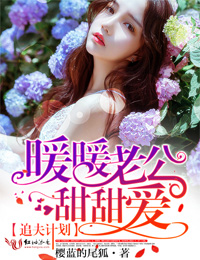 《追夫计划，暖暖老公甜甜爱》 作者：樱蓝的尾狐 txt文件大小：2.12 MB