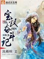《（红楼同人）宝钗奋斗记》 作者：凤栖桐 txt文件大小：366.64 KB