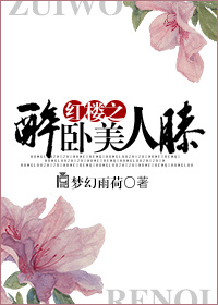 《(红楼同人)红楼之醉卧美人膝》 作者:梦幻雨荷 txt文件大小:919.05 KB