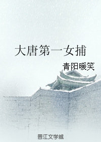 《大唐第一女捕》 作者：青阳暖笑 txt文件大小：430.19 KB