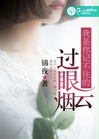《我是你记不住的过眼云烟》 作者：锦夜 txt文件大小：323.16 KB