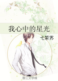 《我心中的星光》 作者：七紫苏 txt文件大小：282.87 KB