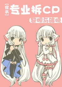 《专业拆CP[穿书]》 作者：黎明与破晓 txt文件大小：308.53 KB