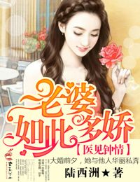 《医见钟情，老婆如此多娇！》 作者：陆西洲 txt文件大小：315.19 KB