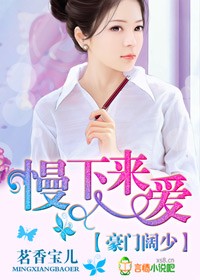 《豪门阔少,慢下来爱》 作者:茗香宝儿 txt文件大小:888.58 KB