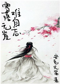 《雪落无崖难自忘》 作者：无玦与栞 txt文件大小：335.77 KB