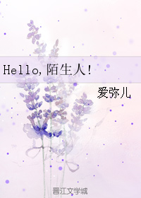 《Hello,陌生人!》 作者：爱弥儿 txt文件大小：323.64 KB