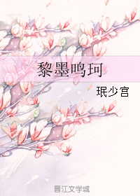《黎墨鸣珂》 作者：珉少宫 txt文件大小：104.49 KB