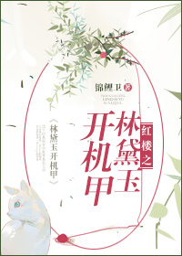 《（红楼同人）红楼之林黛玉开机甲》 作者：锦鲤卫 txt文件大小：343.32 KB