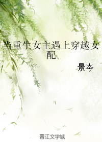 《当重生女主遇上穿越女配》 作者：景岑 txt文件大小：742.64 KB