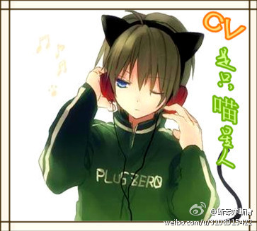 《[网配]CV是只喵星人》 作者：D大调 txt文件大小：144.14 KB