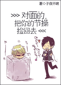 《对面的,把你的节操捡回去》 作者:子夜不眠 txt文件大小:473.61 KB