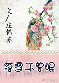 《落雪不曾眠》 作者：庄锦苏 txt文件大小：464.45 KB