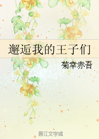《（网王同人）邂逅我的王子们》 作者：菊幸赤吾 txt文件大小：167.03 KB