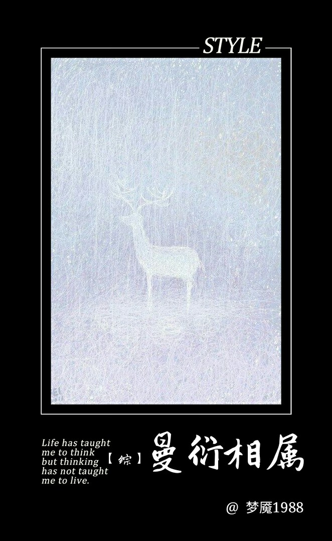 《（综影视同人）综影视曼衍相属》 作者：梦魇1988 txt文件大小：356.05 KB