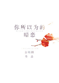 《你所以为的暗恋》 作者：金刚圈 txt文件大小：158.76 KB