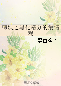 《（韩娱同人）韩娱之黑化精分的爱情观》 作者：黑白橙子 txt文件大小：170.91 KB