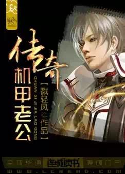 《传奇机甲老公》 作者：戮轻风 txt文件大小：3 MB