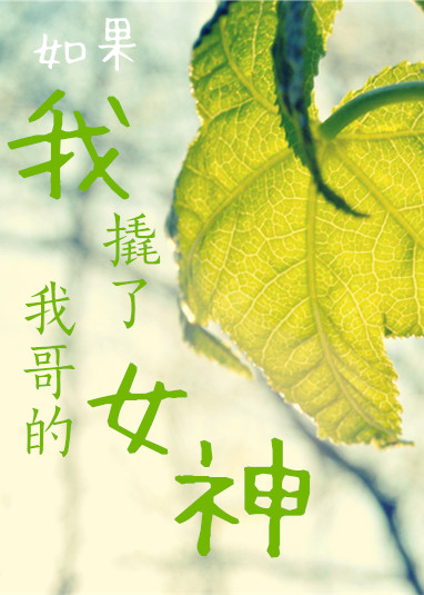 《如果我撬了我哥的女神》 作者：七只瘦牛 txt文件大小：381.13 KB