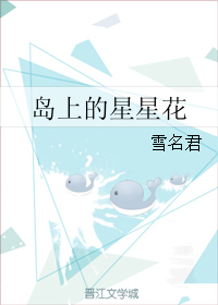 《岛上的星星花-口袋里的星星》 作者：雪名君 txt文件大小：715.69 KB