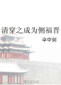 《清穿之成为侧福晋》 作者:伞中剑 txt文件大小:373.15 KB