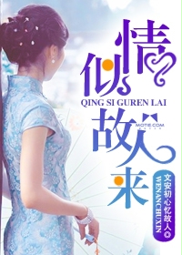 《情似故人来》 作者：文安初心忆故人 txt文件大小：1.66 MB