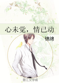 《心未觉，情已动》 作者：锦绵 txt文件大小：331.03 KB