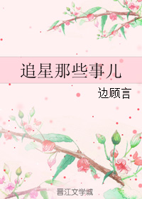 《追星那些事儿》 作者：边顾言 txt文件大小：240.04 KB