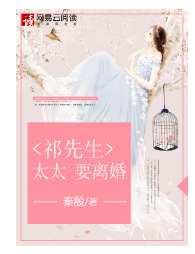 《祁先生，太太要离婚》 作者：秦殷 txt文件大小：445.13 KB