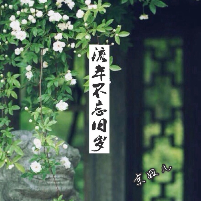 《流年不忘旧岁》 作者：伊雅涵 txt文件大小：372.02 KB