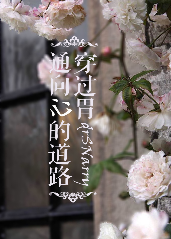 《（HP同人）hp通向心的道路穿过胃》 作者：drsnarry txt文件大小：100.62 KB