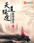 《天道殊途》 作者：夜雨连天 txt文件大小：5.4 MB
