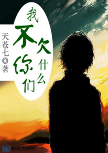 《我不欠你们什么》 作者：天苍七 txt文件大小：181.51 KB