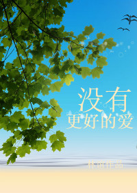 《没有更好的爱》 作者：林谊 txt文件大小：384.02 KB