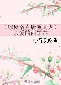 《（综夏洛克唐顿同人）亲爱的西铂尔》 作者：小异爱吃鱼 txt文件大小：68.46 KB