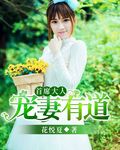 《首席大人宠妻有道》 作者：花悦夏 txt文件大小：356.64 KB