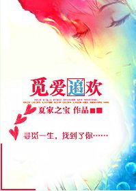 《觅爱追欢》 作者：夏家之宝 txt文件大小：299.81 KB